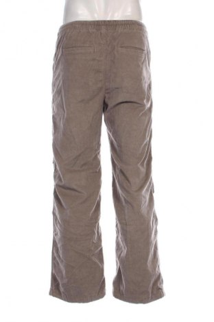 Herren Cordhose Hollister, Größe S, Farbe Beige, Preis € 33,99