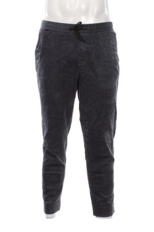 Herren Cordhose Scotch & Soda, Größe S, Farbe Grau, Preis € 26,99