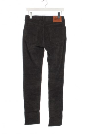 Herren Cordhose Superdry, Größe S, Farbe Grau, Preis 11,99 €