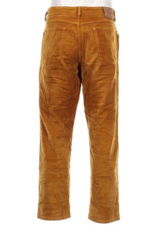 Herren Cordhose Tailor & Son, Größe L, Farbe Gelb, Preis € 11,49