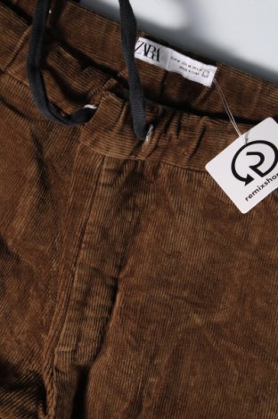 Herren Cordhose Zara, Größe M, Farbe Braun, Preis € 7,99