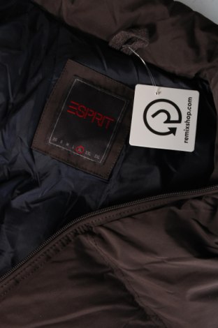 Мъжки елек Esprit, Размер XL, Цвят Кафяв, Цена 37,99 лв.