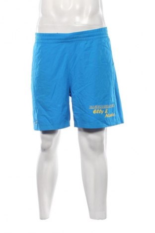 Herren Shorts Babolat, Größe L, Farbe Blau, Preis 5,99 €