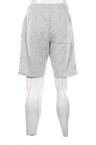 Herren Shorts FSBN, Größe XL, Farbe Grau, Preis € 13,99