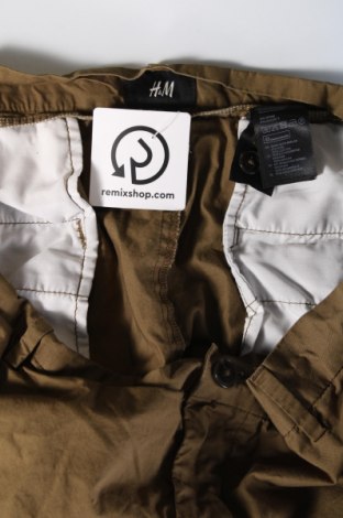 Herren Shorts H&M, Größe L, Farbe Grün, Preis € 10,99