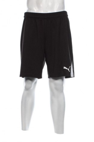 Herren Shorts PUMA, Größe L, Farbe Schwarz, Preis € 32,99