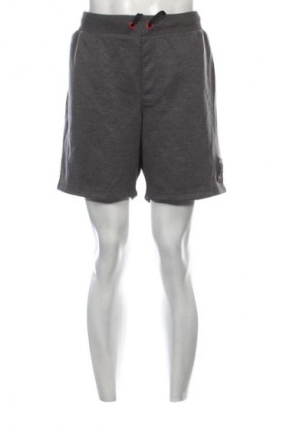 Herren Shorts Spyder, Größe L, Farbe Grau, Preis 26,99 €