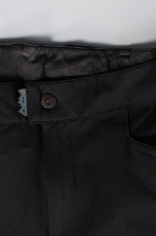 Herren Shorts The North Face, Größe L, Farbe Schwarz, Preis € 61,97