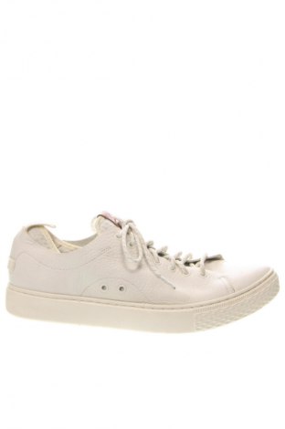 Herrenschuhe Polo By Ralph Lauren, Größe 45, Farbe Weiß, Preis 91,99 €