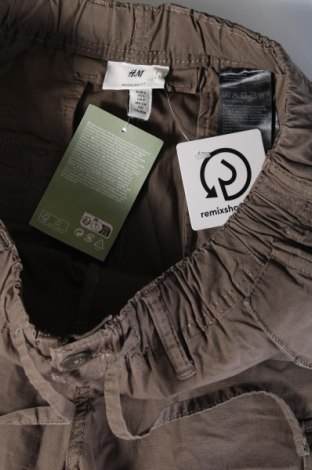 Herrenhose H&M, Größe S, Farbe Grün, Preis € 13,49