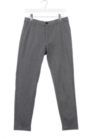 Herrenhose Lindbergh, Größe S, Farbe Grau, Preis 16,99 €