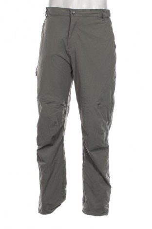 Herrenhose Morgan, Größe XL, Farbe Grün, Preis € 13,99