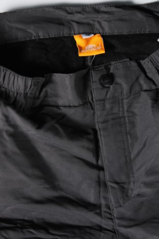 Herrenhose Nordcap, Größe M, Farbe Grau, Preis € 9,99