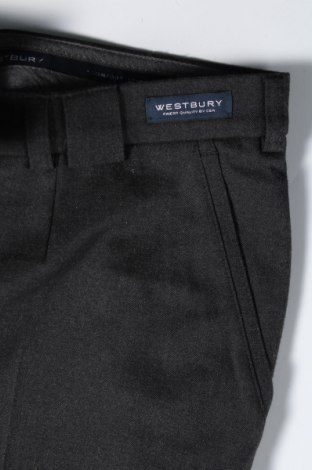 Herrenhose Westbury, Größe XL, Farbe Grau, Preis € 33,99