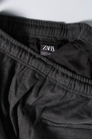 Ανδρικό παντελόνι Zara, Μέγεθος M, Χρώμα Καφέ, Τιμή 6,99 €