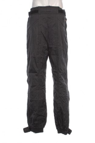 Herrenhose für Wintersport Descente, Größe L, Farbe Grau, Preis € 48,49