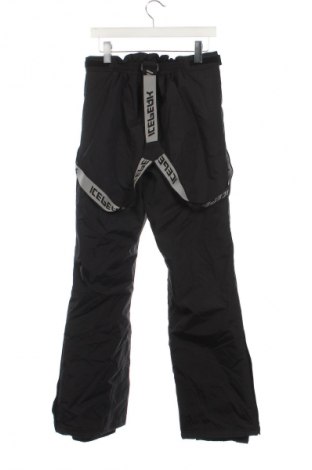 Herrenhose für Wintersport Icepeak, Größe M, Farbe Schwarz, Preis € 59,49