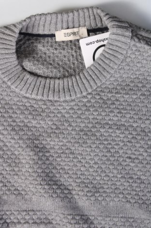 Herrenpullover Esprit, Größe L, Farbe Grau, Preis € 17,49