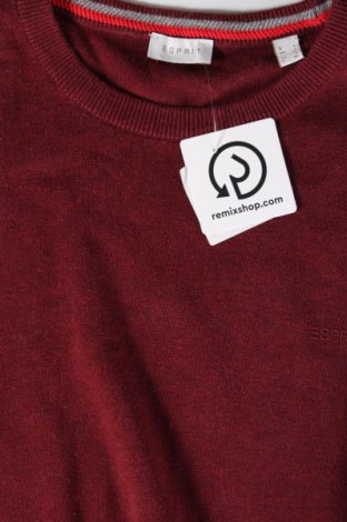 Herrenpullover Esprit, Größe L, Farbe Rot, Preis € 40,00