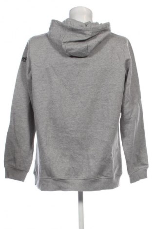 Herren Sweatshirt Capelli, Größe XL, Farbe Grau, Preis € 11,49