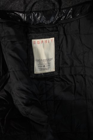 Herrenmantel Esprit, Größe M, Farbe Grau, Preis € 28,99