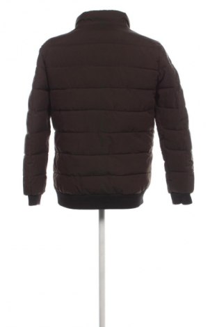 Herrenjacke, Größe L, Farbe Grün, Preis € 22,49