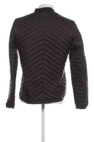 Herrenjacke Teddy Smith, Größe M, Farbe Schwarz, Preis 17,49 €