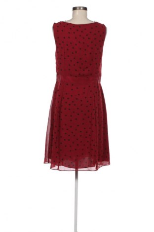 Kleid Biaggini, Größe L, Farbe Mehrfarbig, Preis 13,99 €