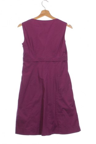 Kleid Esprit, Größe XS, Farbe Rosa, Preis 15,99 €