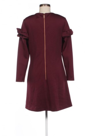 Kleid Ted Baker, Größe XL, Farbe Lila, Preis 49,49 €