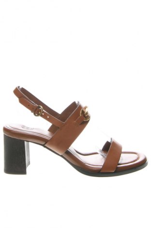 Sandalen Massimo Dutti, Größe 38, Farbe Braun, Preis 77,99 €