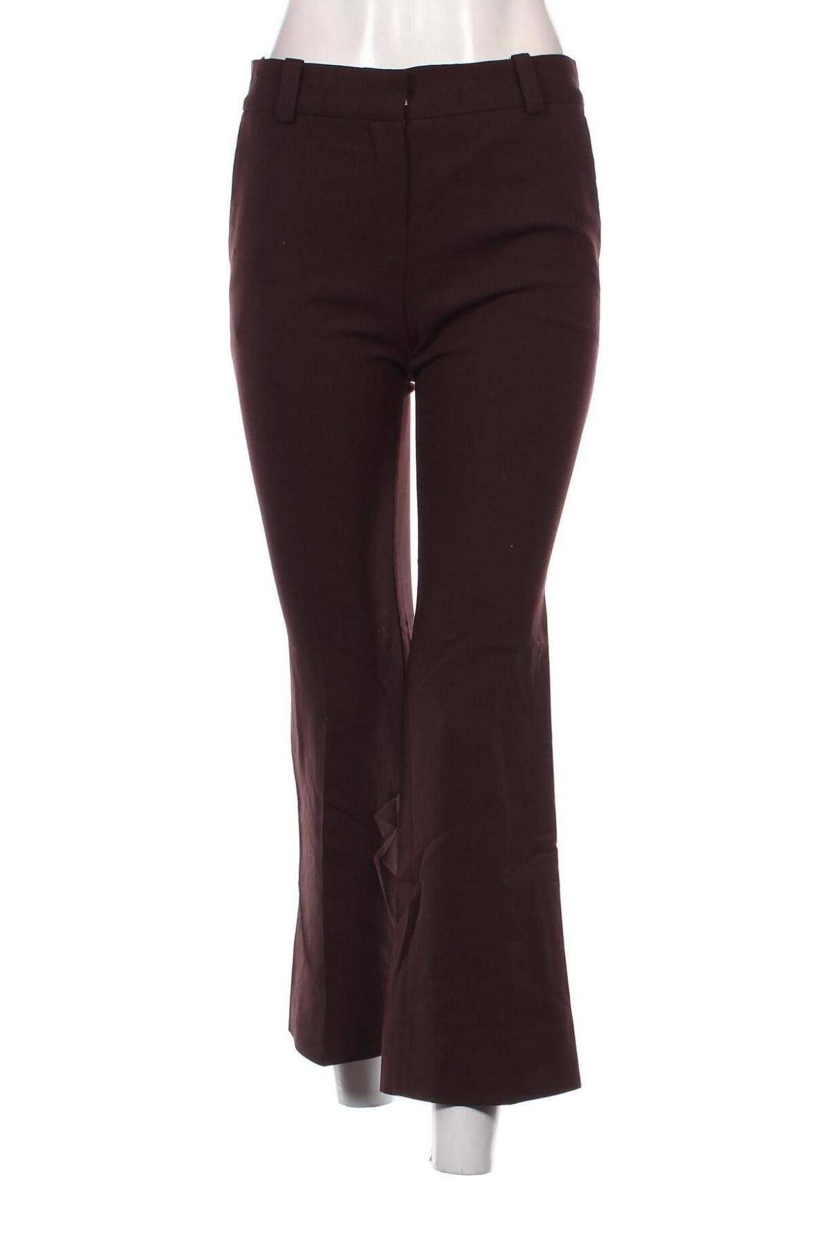 Damenhose Massimo Dutti, Größe S, Farbe Lila, Preis 19,99 €