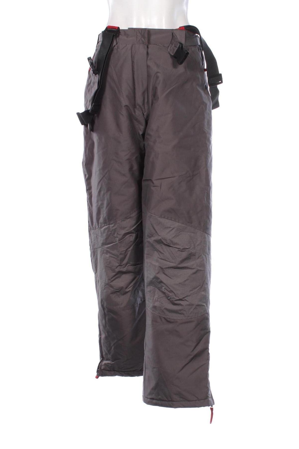 Damenhose für Wintersport, Größe L, Farbe Grau, Preis € 37,99