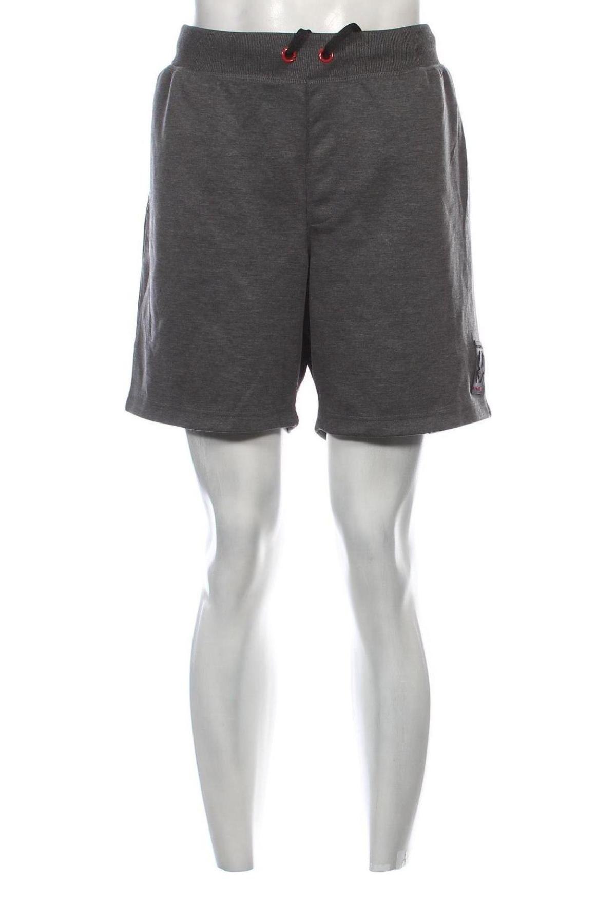 Herren Shorts Spyder, Größe L, Farbe Grau, Preis € 32,99