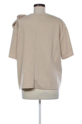 Dámska blúza D&D, Veľkosť XL, Farba Béžová, Cena  15,94 €