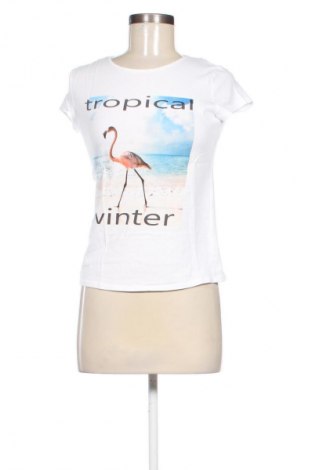 Γυναικεία μπλούζα Fashion Express, Μέγεθος XS, Χρώμα Λευκό, Τιμή 9,72 €