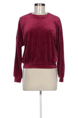 Bluzka damska Hunkemoller, Rozmiar XS, Kolor Różowy, Cena 17,99 zł