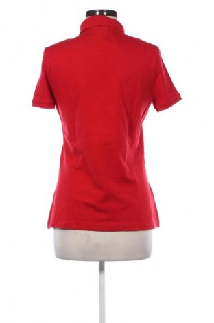 Γυναικεία μπλούζα Lacoste, Μέγεθος L, Χρώμα Κόκκινο, Τιμή 47,99 €
