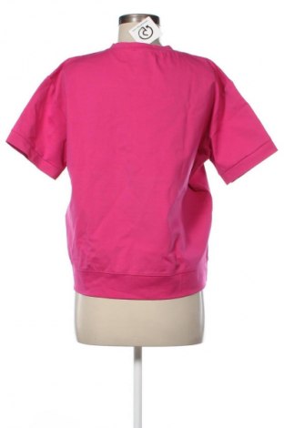 Γυναικεία μπλούζα NEW COLLECTION, Μέγεθος M, Χρώμα Ρόζ , Τιμή 14,00 €