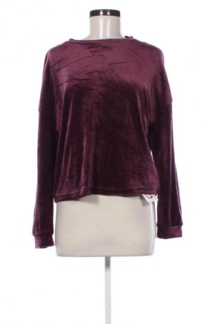 Damen Shirt Primark, Größe M, Farbe Lila, Preis 6,99 €