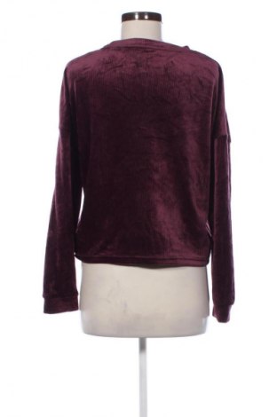 Damen Shirt Primark, Größe M, Farbe Lila, Preis 6,99 €