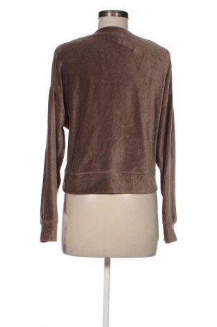 Damen Shirt Revelation, Größe S, Farbe Braun, Preis 6,99 €
