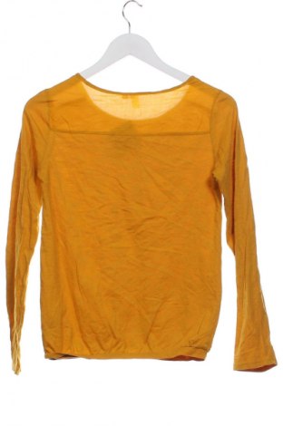 Γυναικεία μπλούζα S.Oliver, Μέγεθος XS, Χρώμα Κίτρινο, Τιμή 3,99 €