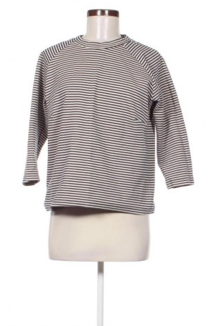 Damen Shirt Selected Femme, Größe L, Farbe Mehrfarbig, Preis 20,97 €