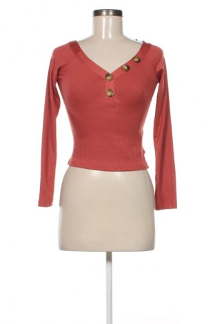 Damen Shirt Terranova, Größe S, Farbe Rot, Preis 9,72 €