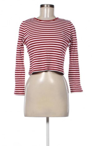 Damen Shirt Tommy Jeans, Größe M, Farbe Mehrfarbig, Preis 34,78 €
