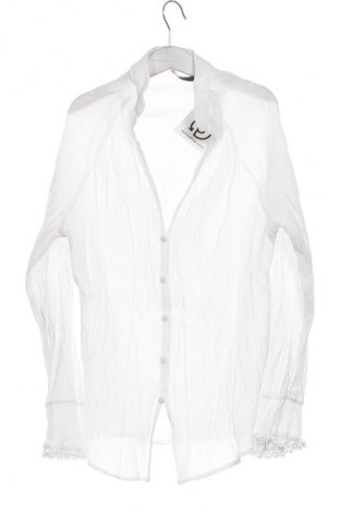 Damen Shirt Zara, Größe XS, Farbe Weiß, Preis € 13,80