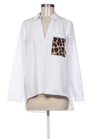 Damen Shirt Zara, Größe M, Farbe Weiß, Preis 13,80 €