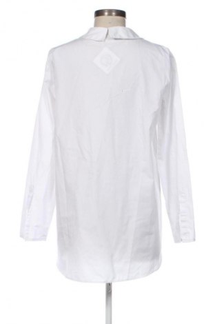 Damen Shirt Zara, Größe M, Farbe Weiß, Preis 13,80 €