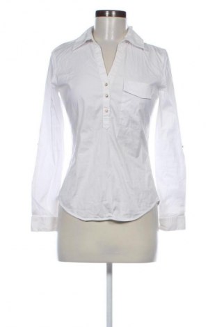 Damen Shirt Zara, Größe M, Farbe Weiß, Preis 16,41 €